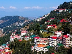 Shimla